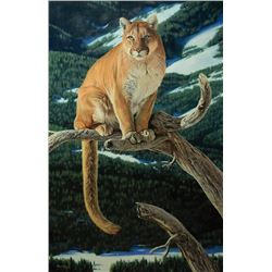 Steve Burgess -Out on a Limb