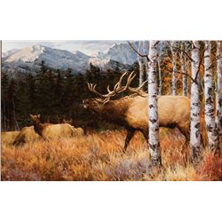 Ray Sexton -Autumn Elk