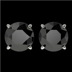 3.18 CTW Fancy Black VS Diamond Solitaire Stud Earrings 10K White Gold - REF-66H8A - 36697