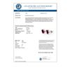 Image 2 : 1.50 CTW Ruby Earrings 14K White Gold - REF-12W2F - 11302