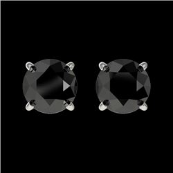 1 CTW Fancy Black VS Diamond Solitaire Stud Earrings 10K White Gold - REF-25Y2K - 33052