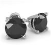 Image 1 : 1.0 CTW Black Diamond Stud Designer Earrings 18K White Gold - REF-41W6F - 32268