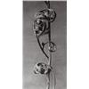 Image 1 : KARL BLOSSFELDT (German, 1865-1932) anemon...