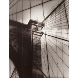 TOM BARIL (American, b. 1952) FIDDLEHEADS,...