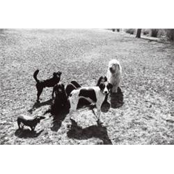 GARRY WINOGRAND (American, 1928-1984) UNTI...