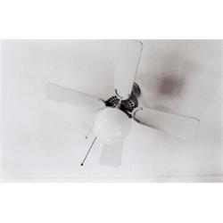 WILLIAM EGGLESTON (American, b. 1939) WASH...