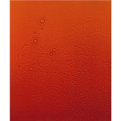 ADAM FUSS (British, b. 1961) UNTITLED, 199...