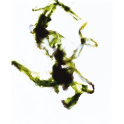 ADAM FUSS (British, b. 1961) UNTITLED (AFT...