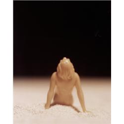 DAVID LEVINTHAL (American, b. 1949) UNTITL...