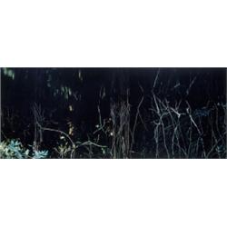 AXEL HÜTTE (German, b. 1951) RIO MUERTE II...