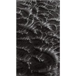 ALFRED EHRHARDT (German, 1901-1984) TIERAH...