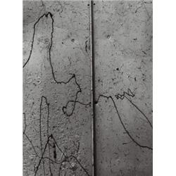 AARON SISKIND (American, 1903-1991) KENTUC...