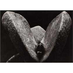 ALBERT RENGER-PATZSCH (German, 1897-1966) ...