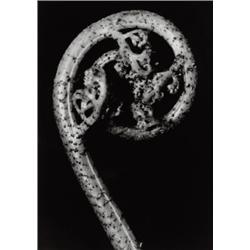 ALBERT RENGER-PATZSCH (German, 1924-1966) ...