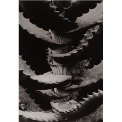 ALBERT RENGER-PATZSCH (German, 1924-1966) ...