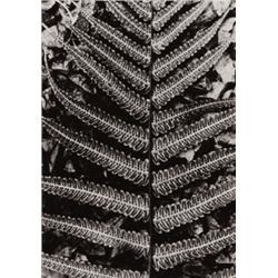 ALBERT RENGER-PATZSCH (German, 1897-1966) ...