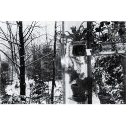 LEE FRIEDLANDER (American, b. 1934) PUTNEY...