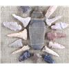 Image 11 : Native American Indian Arrowhead Collection
