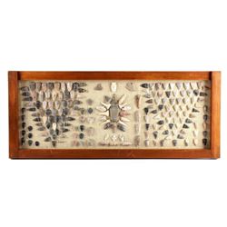 Native American Indian Arrowhead Collection