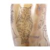 Image 7 : Exceptional Scrimshaw Steer Horn