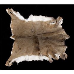 Montana Whitetail Deer Tanned Hide