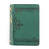 Image 9 : Kit Carson's Life and Adventures by Burdett 1869
