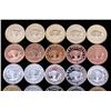 Image 2 : Buffalo Commemorative Dollar Coin Collection