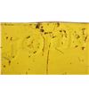 Image 8 : John Deere Quality - Terry, MT Vendor Sign c.1912-