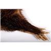 Image 11 : Beaver Rug And Possum/ Muskrat Hide Collection
