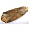 Image 16 : Beaver Rug And Possum/ Muskrat Hide Collection