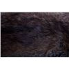 Image 17 : Beaver Rug And Possum/ Muskrat Hide Collection