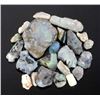 Image 1 : Twenty-Two Raw Australian Lightning Ridge Opals