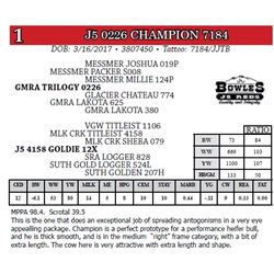 J5 0226 CHAMPION 7184