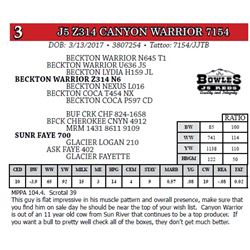 J5 Z314 CANYON WARRIOR 7154