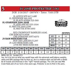 J5 209B PROTECTER 7183