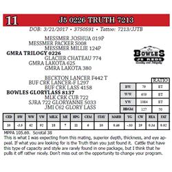 J5 0226 TRUTH 7213