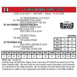 J5 B16 REBEL EPIC 7173