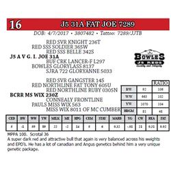 J5 31A FAT JOE 7289
