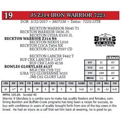 J5 Z314 IRON WARRIOR 7223