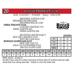 J5 0226 TRIDENT 7230