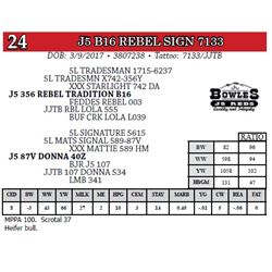 J5 B16 REBEL SIGN 7133