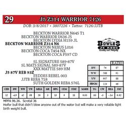J5 Z314 WARRIOR 7126