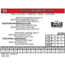 J5 Z314 WARRIOR 7139