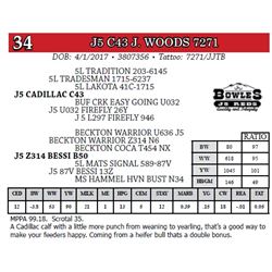 J5 C43 J. WOODS 7271