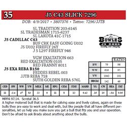 J5 C43 SLICK 7296