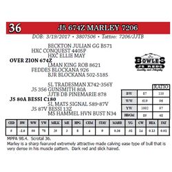 J5 674Z MARLEY 7206