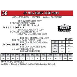 J5 31A EASY JOE 7247
