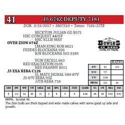 J5 674Z DEPUTY 7181