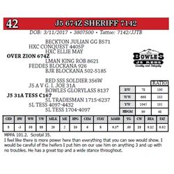 J5 674Z SHERIFF 7142
