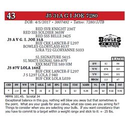 J5 31A G I JOE 7280